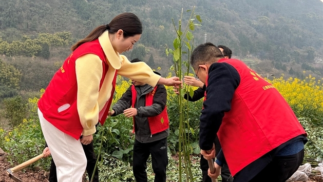  天景初中開展植樹護(hù)綠活動(dòng)